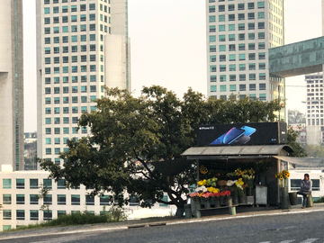 A tree and a kiosk below office towers